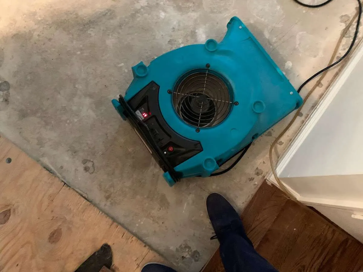 Air mover drying subfloor during Commercial Water Damage Restoration in Lexington